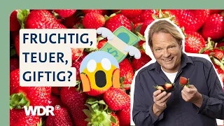 Erdbeeren im Check: So steht es um die Zukunft der roten Frucht | Der Vorkoster | WDR