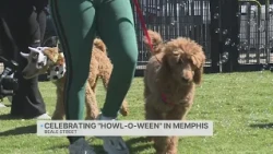 WREG Memphis Weather Saturday Evening 10/17/26