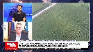 Επιστολή Μαλλιαρά στον ΥΠΑΑΤ για τις καθυστερήσεις σε δηλώσεις ΟΣΔΕ και αγροτικές ενισχύσεις