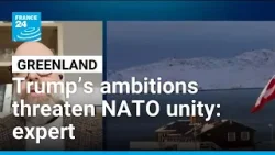 ‘Playing straight into Russia’s hands’: Expert warns Trump’s Greenland push strains NATO