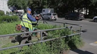 Grass Mowing in Vladivostok