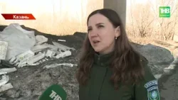 Экологический марафон на 3 миллиарда: Татарстан готовится к масштабной уборке