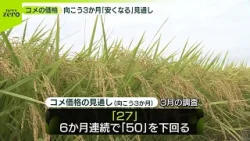 【コメ価格】向こう3か月「安くなる」見通し