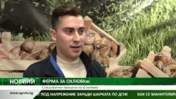 ФЕРМА ЗА ОХЛЮВИ: Специфични процеси на фабрична обработка