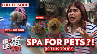 Sosyal na hotel at spa para sa mga alagang aso't pusa | Ibang Level 'To