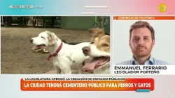 The city will have a public cemetery for dogs and cats - Emmanuel Ferrario │LPELDM │ 10-30-26