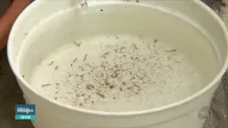 Vigilância alerta a população para reforçar o combate ao mosquito Aedes Aegypti