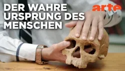 Homo sapiens | Doku HD Reupload | ARTE