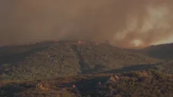 Firefighters make progress on wildfire burning in Angeles National Forest