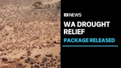 Drought relief package welcomed by some WA farmers, but others say it's a 'bandaid' | ABC News