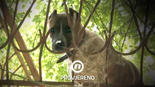 Prijavljivali su je godinama, a iza vrata se skrivao nezamisliv horor | Provjereno