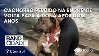 Cachorro reencontra a dona dois anos após a enchente