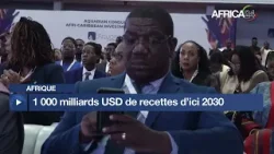 Afrique - AACIS’26 : l’agro-industrie pourrait peser 1 000 milliards USD d’ici 2030