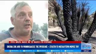 Ρέθυμνο: Στάχτη πάνω από 45.000 στρέμματα γης - Βαρύ πλήγμα για το περιβάλλον | ACTION 24