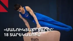 Համլետ Մանուկյան. 8-րդ հայ մարմնամարզիկը սեփական տարրով