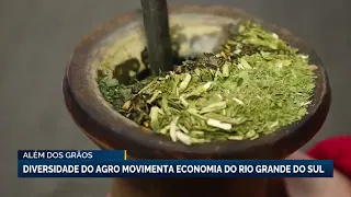 Far beyond barbecue and chimarrão: discover the strength of Rio Grande do Sul's agribusiness