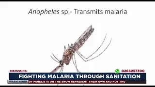 Overlooked areas that collect nd store water around our homes can become mosquito breeding grounds.