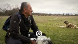 San o životu na selu postao horor: "Sve se dogodi u sekundi" | Provjereno