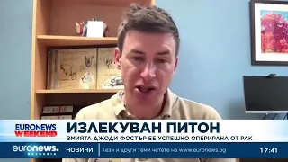 Питон бе успешно опериран от рак