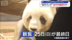 「パンダさんバイバイ」　上野動物園の“双子パンダ”　25日が観覧最終日【スーパーJチャンネル】(2026年1月24日)