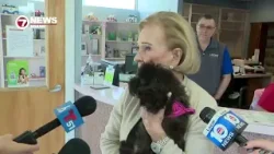 Щенок, украденный из салона Bentley в Форт-Лодердейле, найден в целости и сохранности и воссоедин... Щенок, украденный из салона Bentley в Форт-Лодердейле, найден в целости и сохранности и воссоедин...