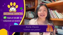 Gran Danés: cuidados, prevención del maltrato y adopción responsable | Voz Canina | 14-01-26