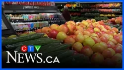 How much of an impact will new food insecurity measures have on Canada's food banks?