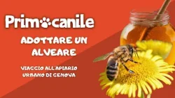 Primocanile - Adottare un alveare: viaggio all'apiario urbano di Genova