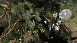 Day after tornado rips through Fayetteville, neighbors helping each other clean up