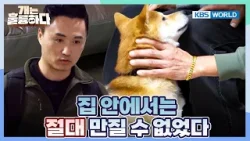 Trainer Kwon Is Fixin' to Fix Rookie? [Dogs Are Incredible:Ep.7-5] | KBS WORLD TV 251230