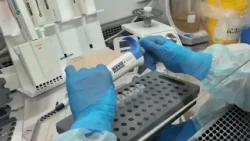 Шанс на эффективное лечение = жизнь. Впервые в регионе – генетические исследования при лейкозах Шанс на эффективное лечение = жизнь. Впервые в регионе – генетические исследования при лейкозах