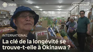 The Secret of the Okinawa Centenarians