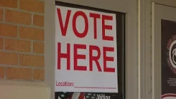 Early voting surges in Shelby County; what is driving turnout?