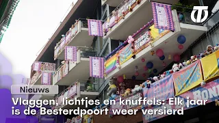 Vlaggen, lichtjes en knuffels: Elk jaar is de Besterdpoort weer versierd - NIEUWS