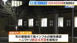 鳥インフルエンザ発生の養鶏場でニワトリ殺処分が完了　15万4000羽を焼却　兵庫・姫路市　1シーズンに2回発生は県内初（2026年1月26日）