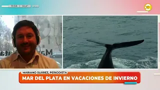 Mar del Plata with whales in the sea: we talk with journalist Mariano Suárez │LPELDM│ 07/26/24