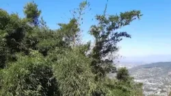 Bajas temperaturas y vientos en Panchimalco