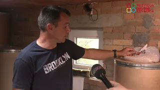 Zrno prošlosti, hrana budućnosti