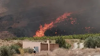 Marlaska supervisa el devastador incendio de Almería: 12 muertos, 24 desaparecidos y 1.400 evacuados