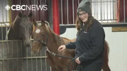 He was born with a crooked face. Now, this foal has a shot at the racetrack