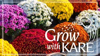 Grow with KARE: Fall blooming flowers