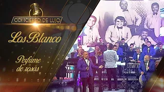 [Concierto de Lujo] – Orquesta Los Blanco – Perfume de Rosas