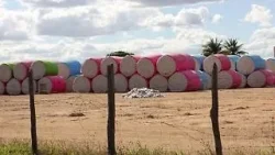 Illegale Rodung und Vertreibung: Spur "schmutziger Baumwolle" führt bis zu H&M und Zara | ntv