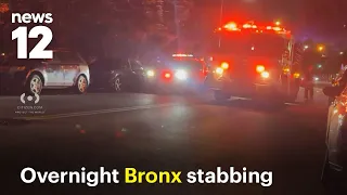 Man stabbed in stomach overnight in The Bronx