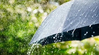 Gusts of up to 72 km/h and rain from a tropical wave mark the weekend