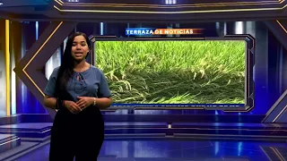 NEWS TERRACE 09/22/2026