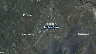 Case of rabies in Freeport