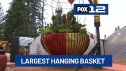 'World's largest' hanging basket on display in Tualatin