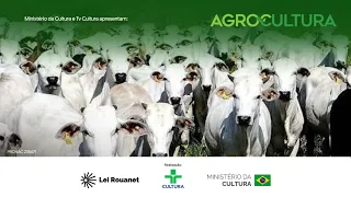 Agrocultura | Confinamento de gado cresce e impacto das tarifas dos EUA no agro  | 23/08/2026