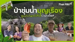 ป่าชุ่มน้ำบุญเรือง ซูเปอร์มาร์เก็ตระดับโลก | มหาอำนาจบ้านนา ป่าชุ่มน้ำบุญเรือง ซูเปอร์มาร์เก็ตระดับโลก | มหาอำนาจบ้านนา